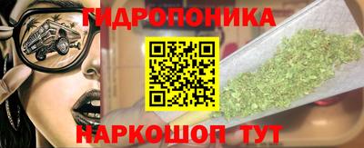 амф Гай