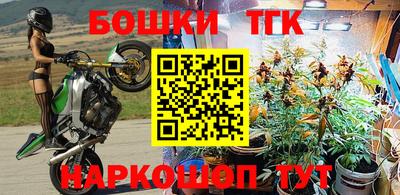 ешки Гагарин