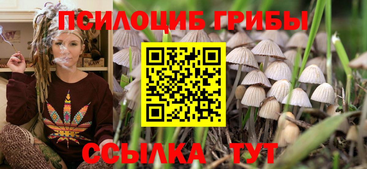 Галлюциногенные грибы мицелий Тимашёвск